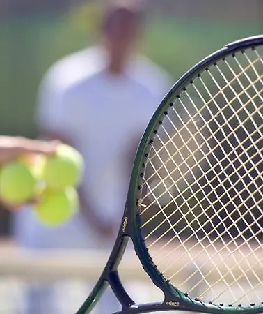 Quinta Da Encosta Velha - Santo Antonio, Villas, Golf & 4* 布德恩斯