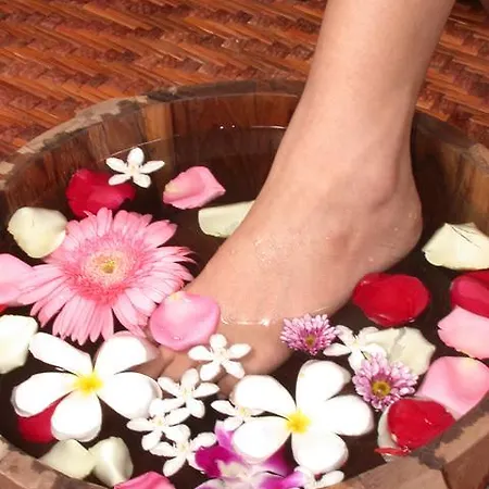 Quinta Da Encosta Velha - Santo Antonio, Villas, Golf & 4*